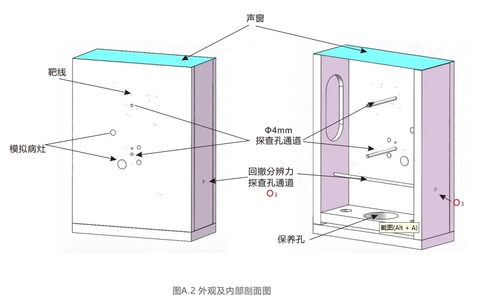 腔內(nèi)掃查超聲模體2 腔內(nèi)掃查超聲模體2