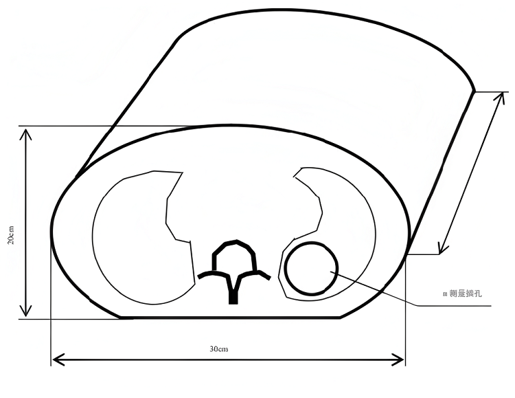 胸部模體 胸部模體