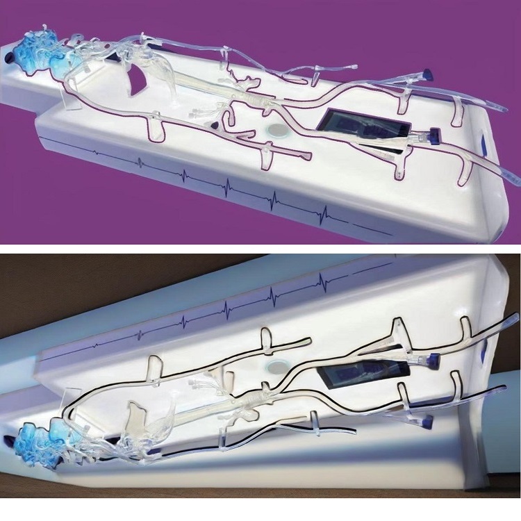 7A1FD30F7448C9F2E49226CBA75CBD7C