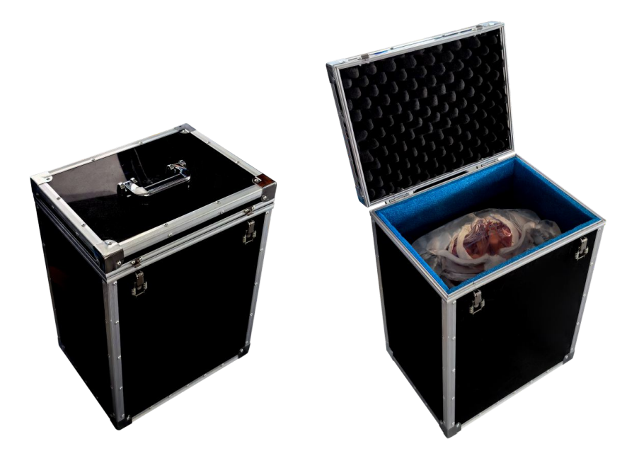 9b152ed5-1bff-4483-b6df-e09d03ad746b